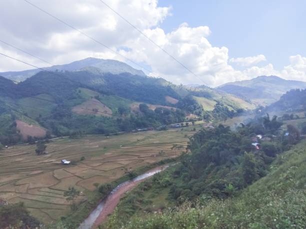 istock Rice terraces on the mountains 1158965840
