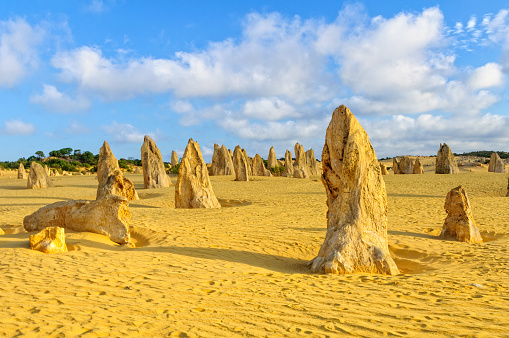 Limestone pillars in the Pinnacles Desert of the  Nambung National Park - Cervantes, WA, Australia