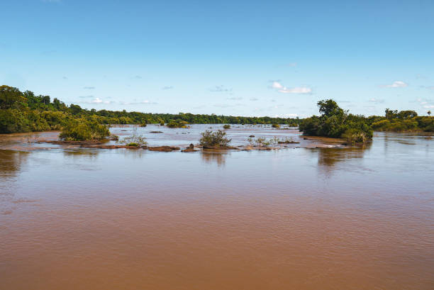 istock brown muddy water of Amazon river in Brazil 1158967764