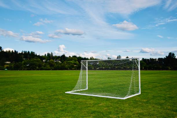 istock Soccer practice field in summer 1158967826