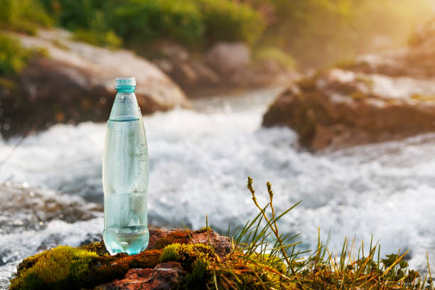 botella de plástico con agua potable fresca en el fondo de un arroyo de montaña, en la naturaleza. agua dulce ool - flowing water stream moss river fotografías e imágenes de stock