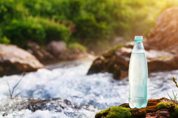 botella de plástico con agua potable fresca en el fondo de un arroyo de montaña, en la naturaleza. agua dulce ool - flowing water stream moss river fotografías e imágenes de stock