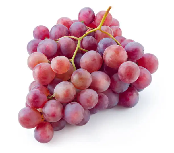 Photo of Ripe red grape. Pink grape isolated on white. With clipping path. Full depth of field.