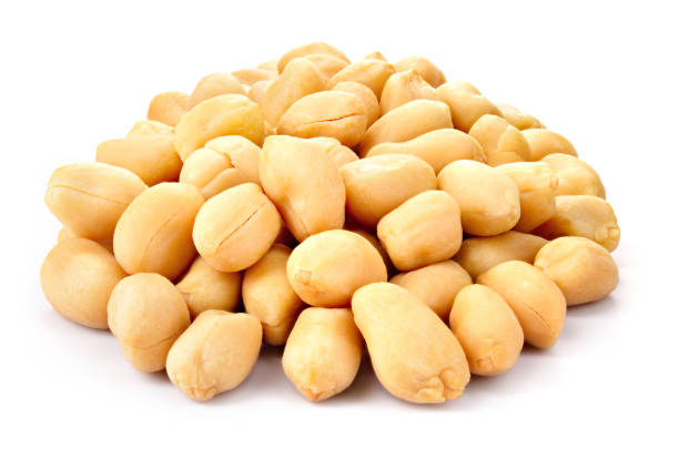 istock Peanut. Peanuts on white. Full depth of field. 1158975653