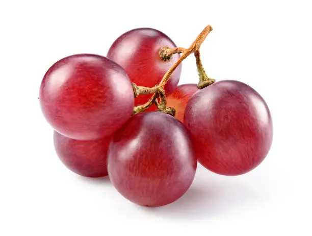 Photo of Grapes. Red grape. Grape branch isolated on white.