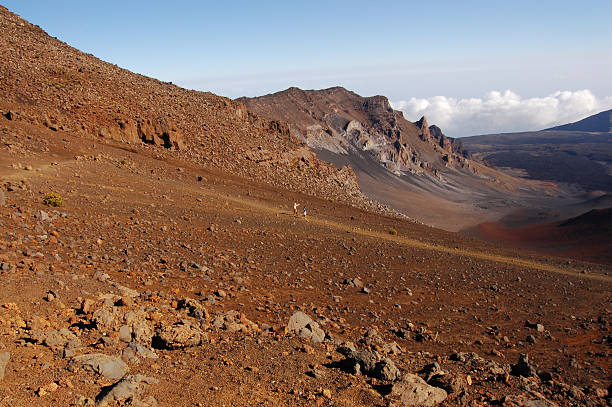 visting el cráter - haleakala silversword fotografías e imágenes de stock