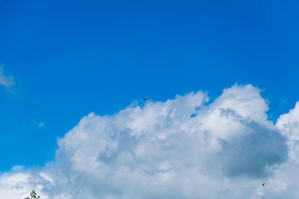 istock white fluffy cumulus congestus clouds in the blue sky 1158977576