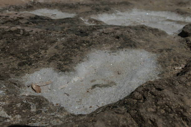 istock Puddles of dried sea salt 1158978773