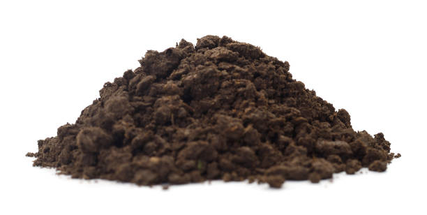 istock Pile of soil. 1158979116