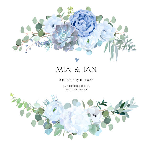 Dusty blue rose, echeveria succulent, white hydrangea, ranunculus, anemone Dusty blue rose, echeveria succulent, white hydrangea, ranunculus, anemone, eucalyptus, juniper vector design wedding bouquets.Seasonal flower card.Floral square composition.Isolated and editable blue roses stock illustrations
