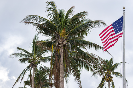 Close-up of the American flag against the backdrop of palm trees and a cloudy sky. American flag flying in the wind on a summer day.