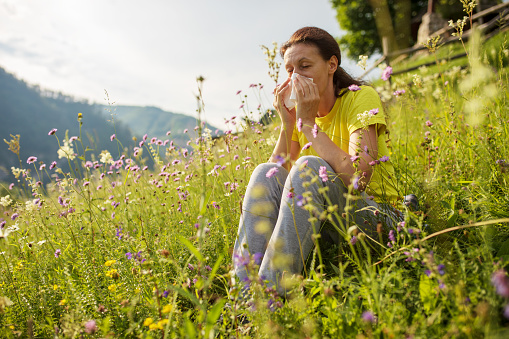 One mature adult woman sitting on meadow full of flowers at summer and suffering from pollen allergy
