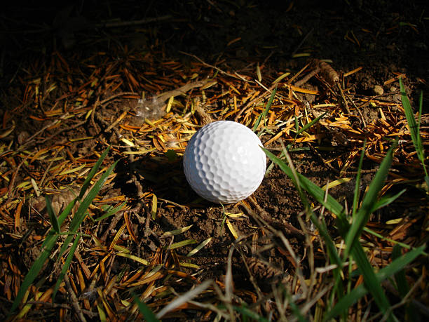 Missing, lost golf ball in rough or hazard out of fairway with beautiful falling leaves at golf course, golf, sport, summer concept