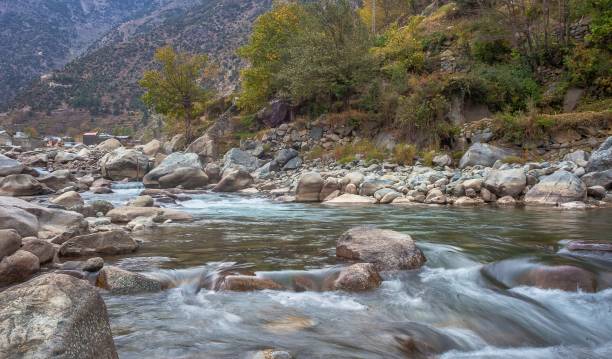 istock Wild mountain river in the forest 1158986079