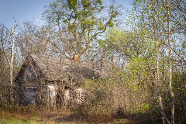 istock Abandoned villages in Belarus Chernobyl exclusion zone 1158988833