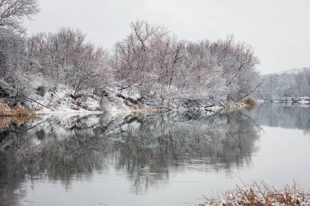istock river with frozen forest, winter 1158989399