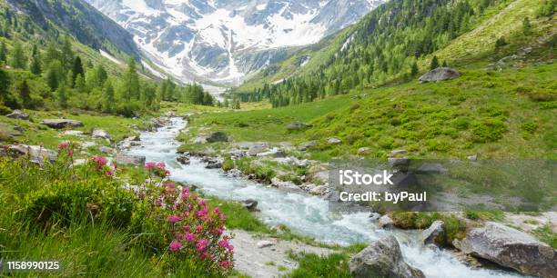 Panorama Of A Beautiful Mountain Landscape With Mountain River And Glacier In The Background Stock Photo - Download Image Now