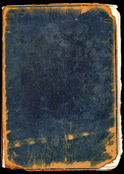 istock Back cover of an old bible 115899153