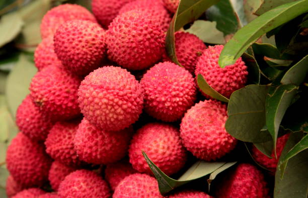 litchi chinensis. frutas de litchi rojas maduras a la venta junto a la carretera. - lichi fotografías e imágenes de stock