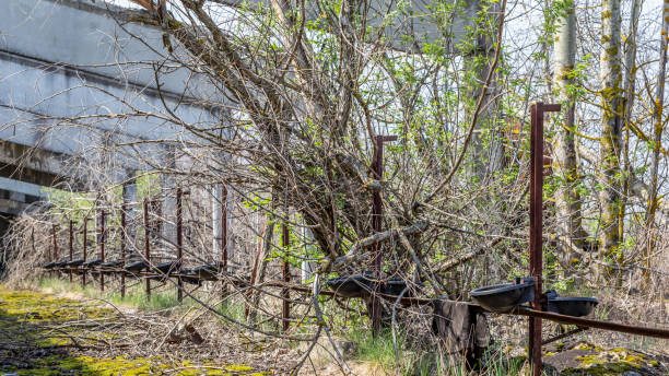 istock Abandoned factory in Chernobyl area 1158997007