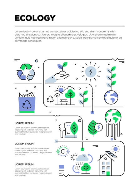 illustrazioni stock, clip art, cartoni animati e icone di tendenza di design infografico ecologia - nature day plant leaf