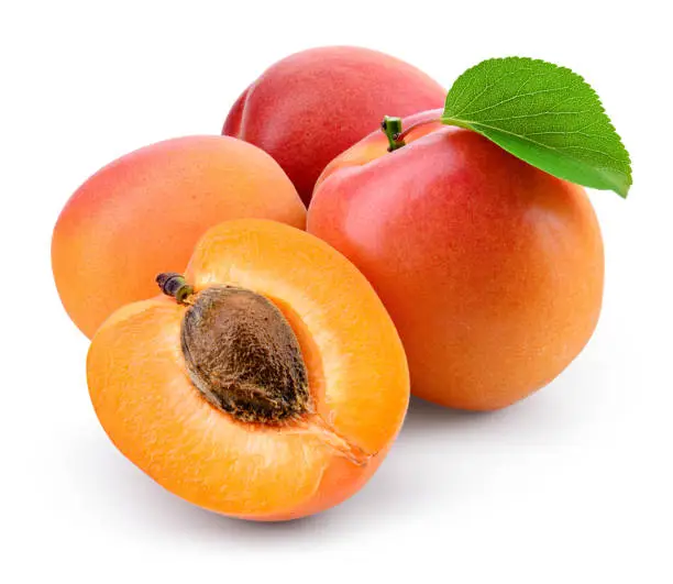 Photo of Apricot isolate. Apricots with slice on white. Fresh apricots. With clipping path. Full depth of field.