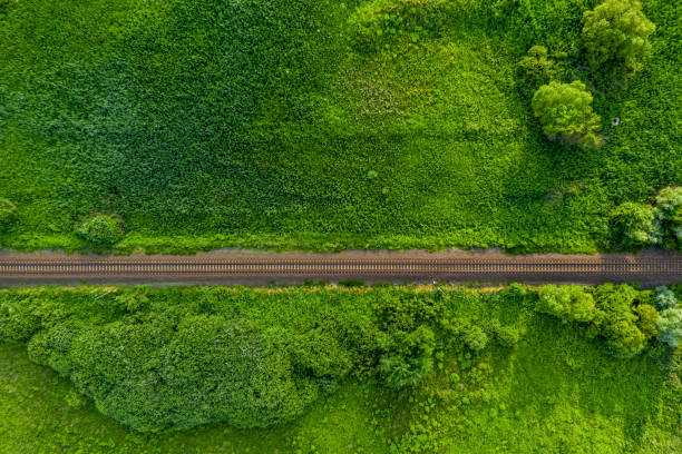 Aerial view of railroad