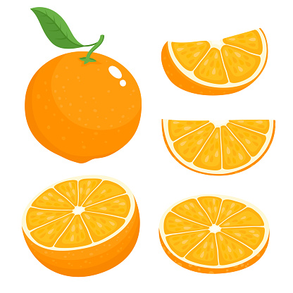 Bright vector set of colorful half, slice and segment of juicy orange. Fresh cartoon oranges on white background.