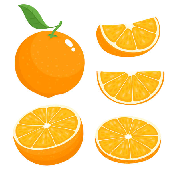 Bright Vector Set Of Colorful Juicy Orange Stock Illustration - Download  Image Now - Orange - Fruit, Orange Color, Fruit - iStock