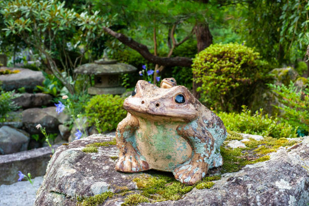 istock Frog figurine placed in Japanese style garden 1159006179