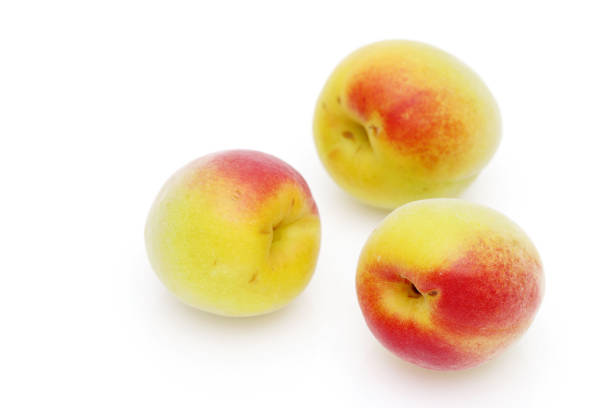 Japanese apricot on white background, Ume, plum