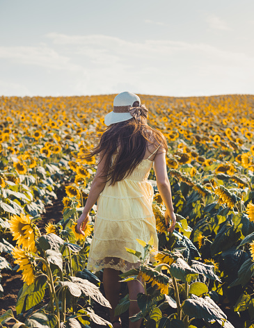 Young cute boho girl having fun with sun flowers in flower bed at beautiful and romantic summer sunset time scenery