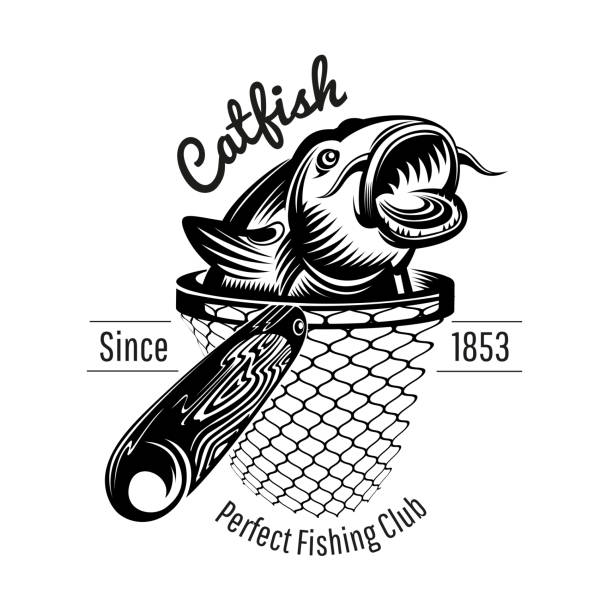 ilustrações, clipart, desenhos animados e ícones de cabeça do peixe-gato acima da rede de aterragem no estilo da gravura. etiqueta para a pesca ou a loja de pesca isolada no branco - catfish fish fishing fishing hook