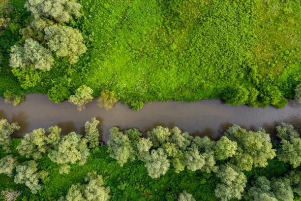 istock agriculture land drone view 1159009784