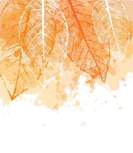 Vector illustration of Watercolor autumn abstract background with leaves