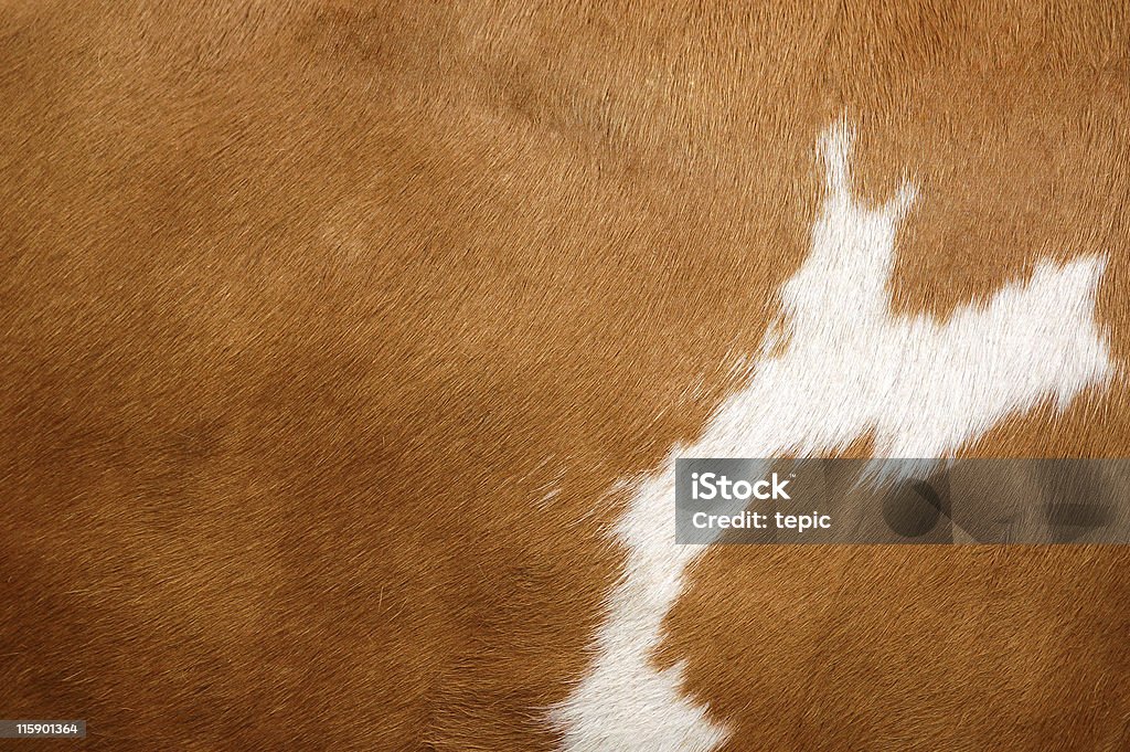 Textura de uma vaca casaco 2 - Royalty-free Pele de vaca Foto de stock