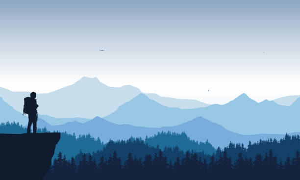 飛ぶ鳥と青空の下に円錐の森と山の風景の現実的なイラスト。孤独なハイカーが頂上に立ち、谷を見つめている。- ベクトル - ハイキング イラスト点のイラスト素材／クリップアート素材／マンガ素材／アイコン素材