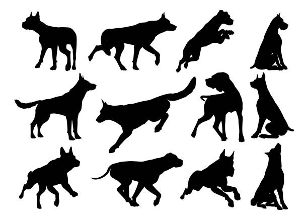 hund silhouetten tier set - isolated dog animal puppy stock-grafiken, -clipart, -cartoons und -symbole