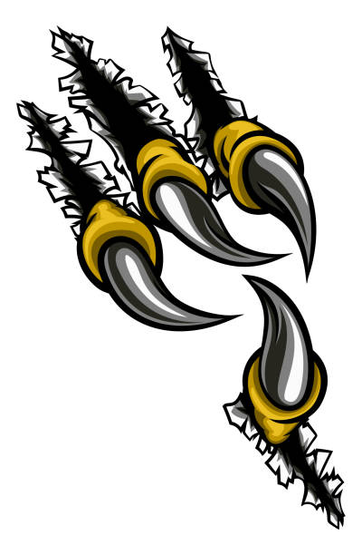 illustrazioni stock, clip art, cartoni animati e icone di tendenza di artiglio dell'aquila che strappa lo sfondo - artiglio-di-uccello