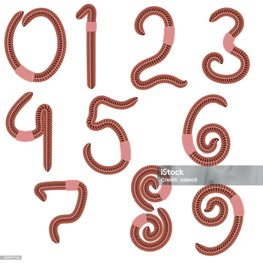 Animal Earth Red Worms For Fishing On White Background Stylized Arabic  Numerals Stock Illustration - Download Image Now - iStock
