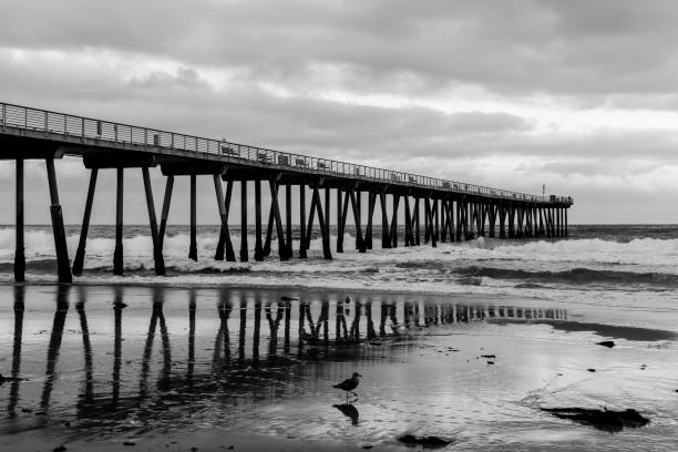 Hermosa Beach Pier (Los Angeles, USA) Reflection in monochrome