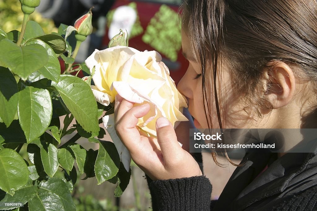 Chica oliendo una rosa - Foto de stock de Perfumado libre de derechos