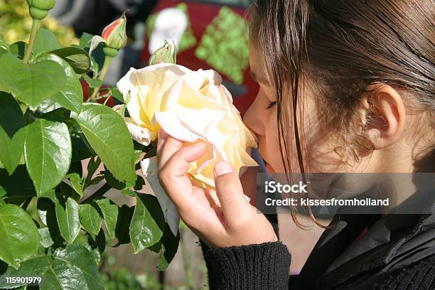 Menina Olfacto Uma Rosa - Fotografias de stock e mais imagens de Perfumado - Perfumado, Criança, Rosa - Flor