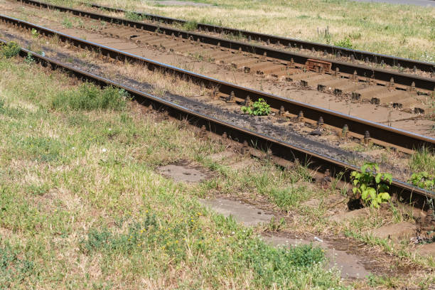 Tram tracks in the city on a sunny summer day
