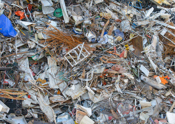 Discarded washing machine among trees, issue of electronic waste.