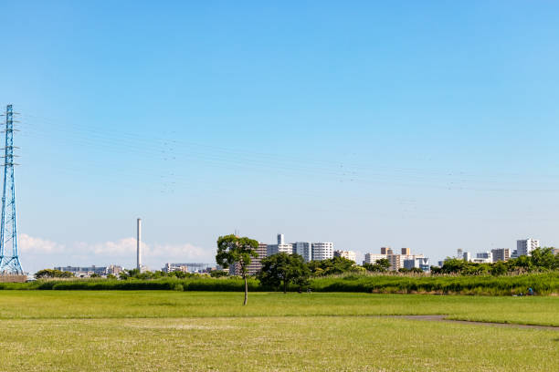 landschaft von horikiri waterfront park in katsushika stadt, tokio, japan - flussbett stock-fotos und bilder