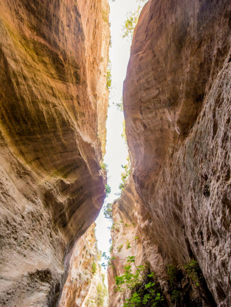 istock Avakas Gorge canyon on Cyprus island. 1159024795