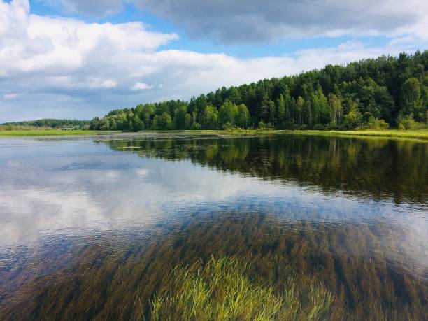 istock Summer landscape, transparent water lake, forest and sky 1159030403