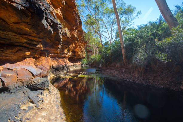 istock Garden of Eden at Kings Canyon 1159031831