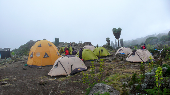 Mount Kilimanjaro / Tanzania: 4 January 2016: high camp on Mount Kilimanjaro with many people preparing and setting up camp